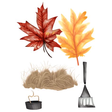 Watercolor Clip Art Set Of Autumn Leaves And Harvesting Creative Fabrica