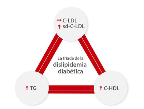 Chembook Número 2 Capítulo 1 Dislipidemia Diabética Lo Que Hay Que