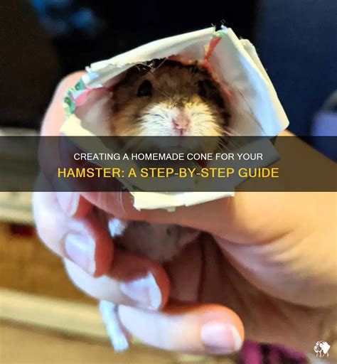 Creating A Homemade Cone For Your Hamster A Step By Step Guide Petshun