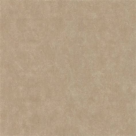 2890-5444 | Clegane Light Brown Plaster Texture | Commercial Wall Decor