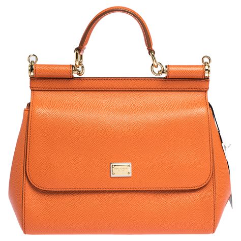 Arriba 36 Imagen Dolce Gabbana Orange Bag Abzlocal Mx