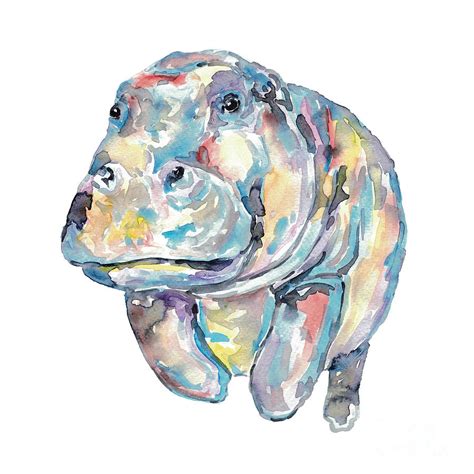 Hippo Watercolor Painting By Maryna Salagub Fine Art America