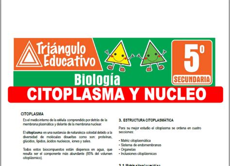 Citoplasma Y Núcleo Para Quinto De Secundaria Fichas Gratis