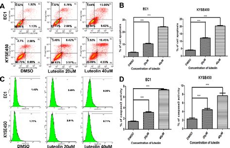 Figure From Luteolin Inhibits Cell Proliferation And Induces Cell