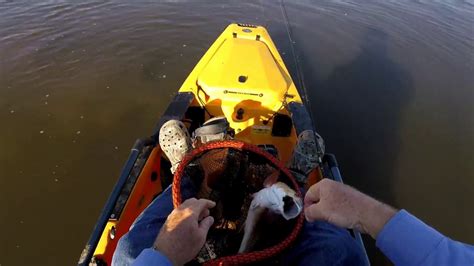 Sight Casting To Redfish From A Kayak Youtube