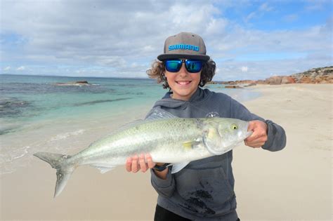 Australian Salmon The Great Aussie Sportfish Fishing World Australia