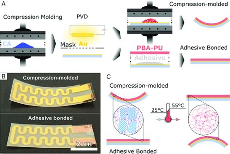 Exploiting Phase Transitions In Polymer Bilayer Actuators Muff 2020