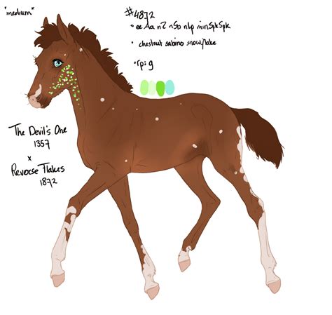 4872 Padro Foal Design By Wildoracle On Deviantart