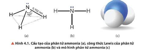 T M Hi U Th Ng Tin V N U M T S Ng D Ng C A Ammonia Trong I S Ng V