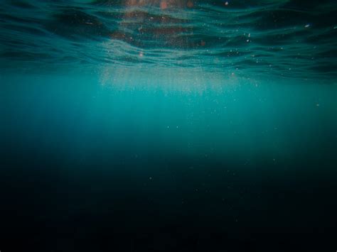 los misterios ocultos del punto mas profundo del planeta