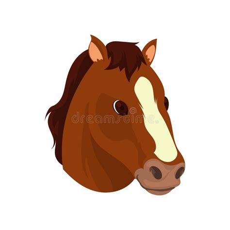 Desenho da face do cavalo ilustração do vetor Ilustração de vetor