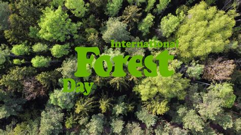 International Day Of Forests St March Theme History