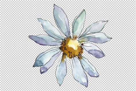 White Daisy Png Watercolor Flower Set By Mystocks Thehungryjpeg