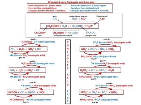 Ib Chemistry On Arrhenius Bronsted Lowry Conjugate Acid Base Pair And