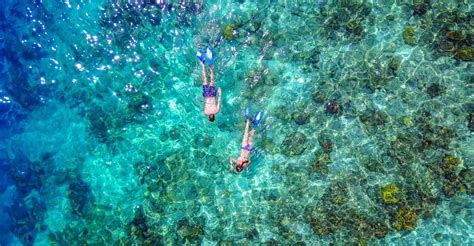 Bayahibe: Snorkeling Tour - Sea, Cotubanama park & Cenotes | GetYourGuide