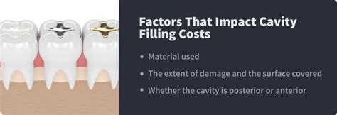 Cavity Filling Costs In 2023 With And Without Insurance Byte® Byte®