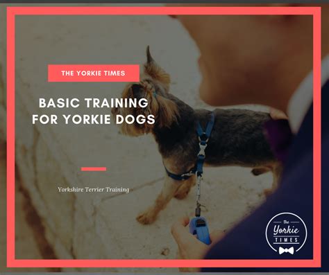 10 Tips for House training a Yorkie http://theyorkietimes.com/10-tips ...