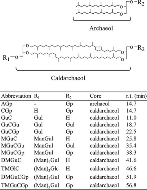 Structures Of Polar Lipids Found In T Acidophilum Ho 62 26 In The