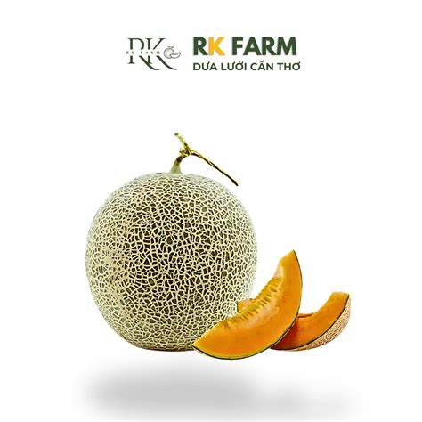 DƯA LƯỚI THÁI- NÔNG TRẠI RK FARM CẦN THƠ RK Farm - Dưa Lưới Cần Thơ