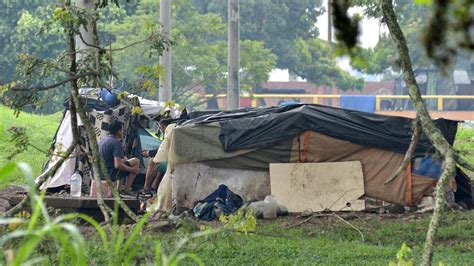 Cali Se Llen De Cambuches Por Qu No Se Han Podido Frenar Las