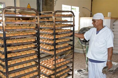 Informarán hoy situación con el trigo la harina y el pan en Cuba Cuba Si