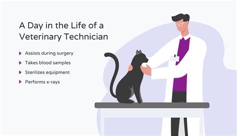 Key Differences Vet Technicians Vs Vet Assistants Hello Rache