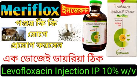 Meriflox Antibiotic Injection পশর ক ক রগ পরযগLevofloxacin