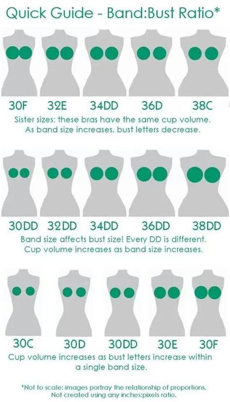 14 best images about BRA SIZE CHART on Pinterest | Measure bra sizes ...