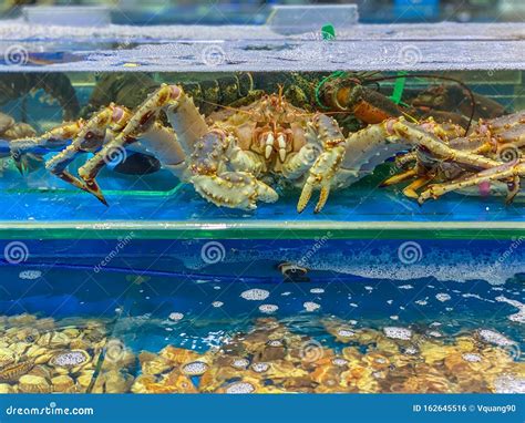 Alive King Crab Inside the Tank at Seafood Market Stock Photo - Image ...