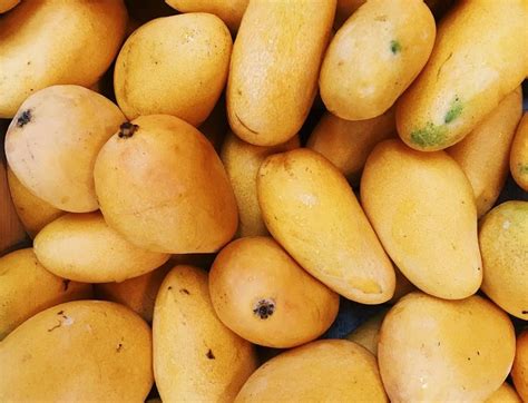 Ataulfo El Mango Mexicano Más Rico Con Denominación De Origen