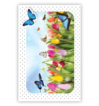 Tulpen En Vlinders Primeurcards