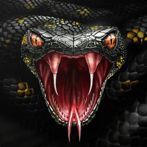 Cool snake wallpaper hd/4k - Apps on Google Play