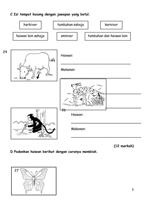 Latihan Sains Tahun 3 Tumbuhan Senarai Kuiz Sains Tahun 3 Yang