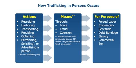 What Is Trafficking In Persons