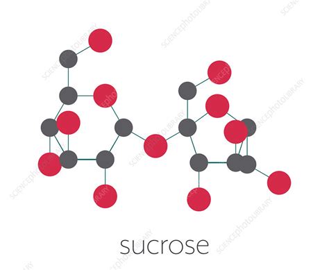 Sucrose sugar molecule, illustration - Stock Image - F027/9543 ...