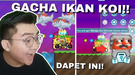 GACHA IKAN KOI DAPAT SAMURAI CUAN Growtopia Harvest Fest Gacha