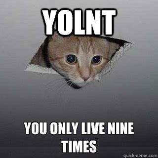 YOLNT You Only Live Nine Times Ceiling Cat Quickmeme