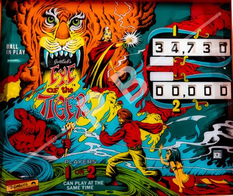 Eye Of The Tiger 1978 Gottlieb Backglass Pinball Backglass