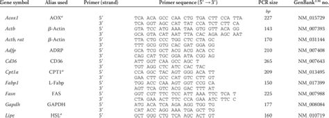 Primer Sequences For Quantitative Real Time Pcr Download Scientific