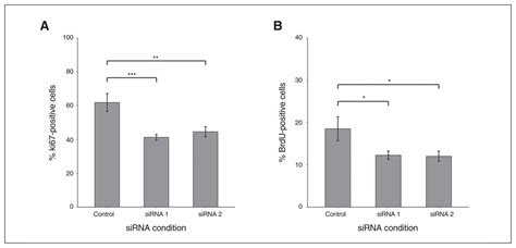 Knockdown Of The Schizophrenia Susceptibility Gene Tcf Alters Gene