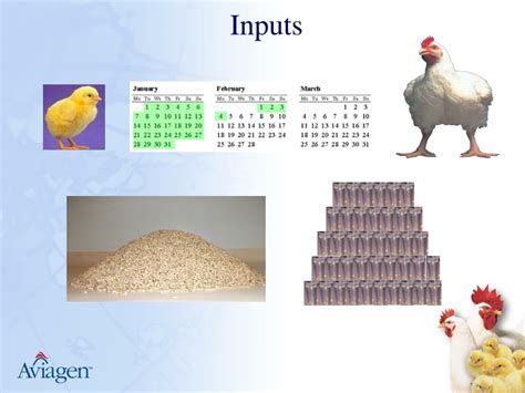 Ppt South West Chicken Association Conference 23 Rd April 2013 Powerpoint Presentation Id