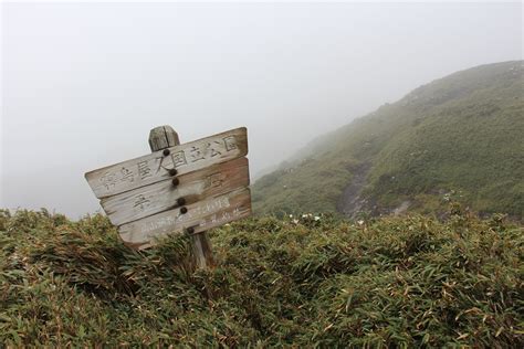 素晴らしき Mountain ＆ Flower By Yamatake 屋久島遠征②シャクナゲの宮之浦岳～永田岳～花山歩道縦走（鹿児島県）