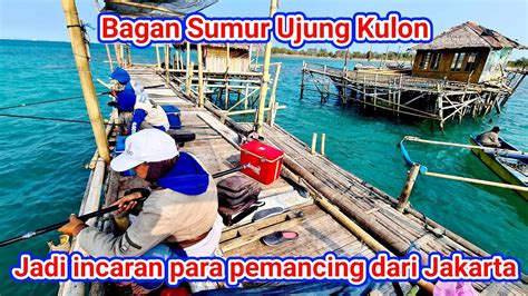 BAGAN SUMUR UJUNG KULON Selalu Jadi Incaran Pemancing Dari Jakarta