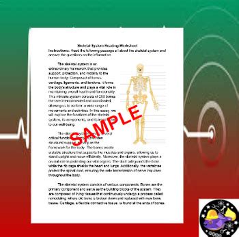 Skeletal System Reading Worksheet Editable By Rod S Ecosystem Lab