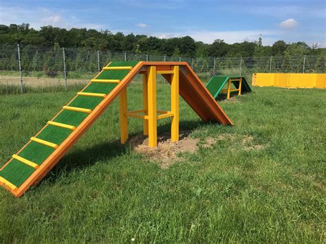 Wrocław Plac zabaw dla psów już gotowy To pierwsze takie miejsce w