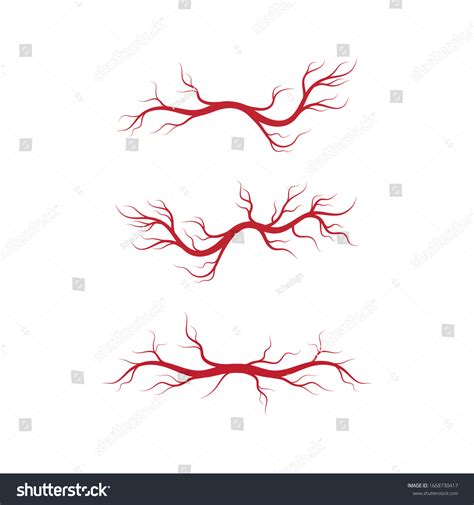 Human Veins And Arteries Illustration Design Royalty Free Stock