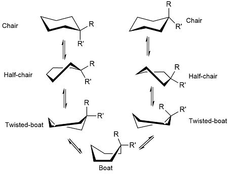 Most Stable Form Of Cyclohexane