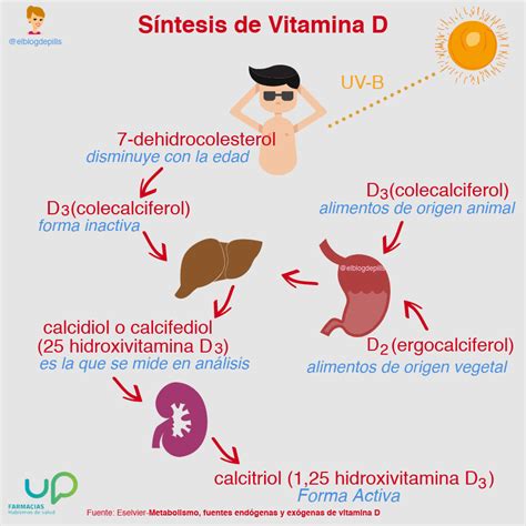 Déficit De Vitamina D En El País Del Sol El Blog De Pills Vitamina