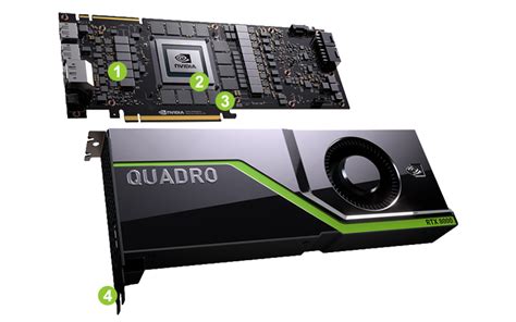 NVIDIA Quadro RTX 8000 | ubicaciondepersonas.cdmx.gob.mx