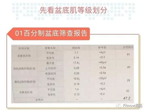 教你如何看懂盆底肌检查报告锻炼